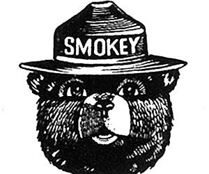GreenLight Collectibles Inks Licensing Agreement with Smokey Bear